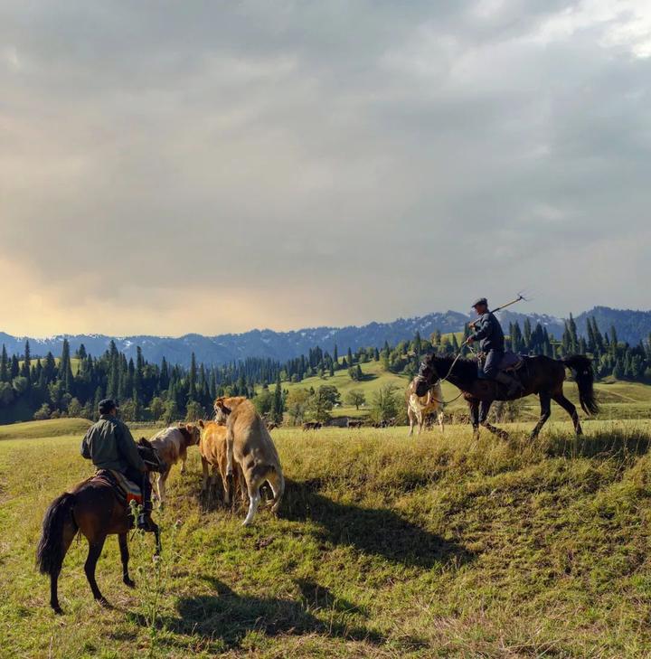 v2-e83e890389402384532f3ca774f59182_720w