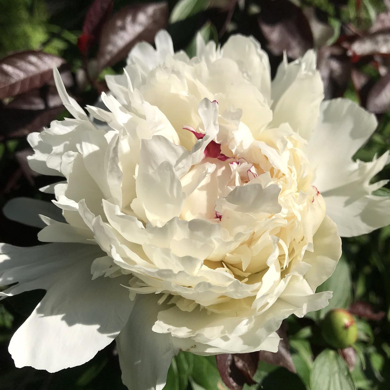 5. 光照环境调整