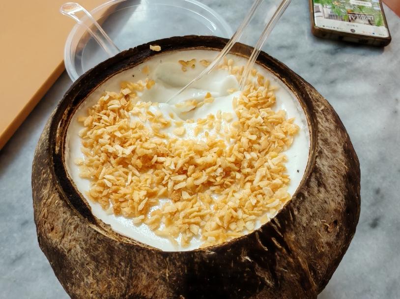 自制美味椰子冻,椰子粉轻松搞定 - 知乎