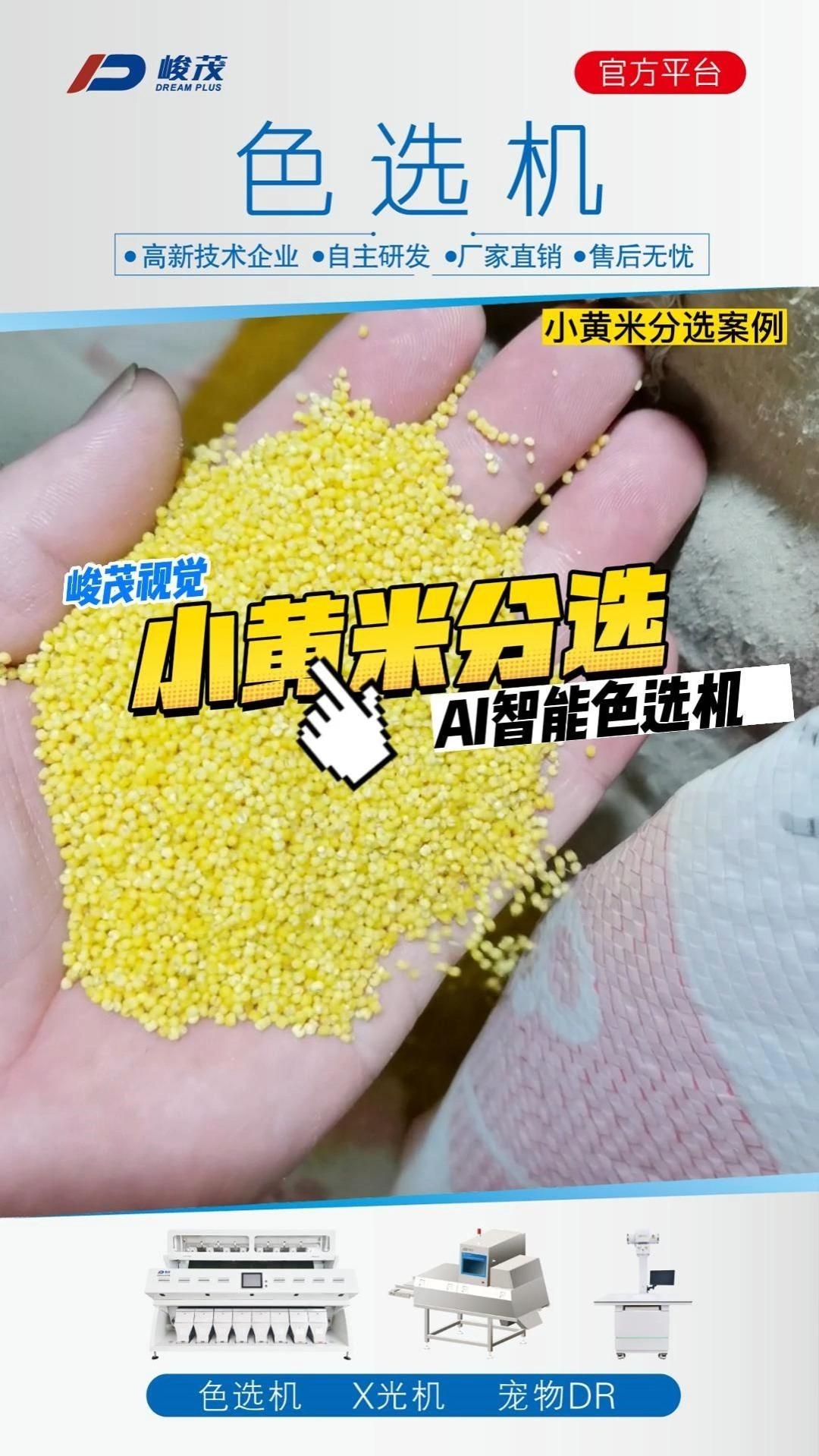 小黄米色选机剔除小黄米原料中的霉变黑籽、浅白粒、草杆、石子等杂质。 - 知乎