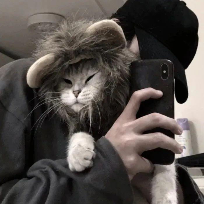 有没有男孩子抱着猫的头像