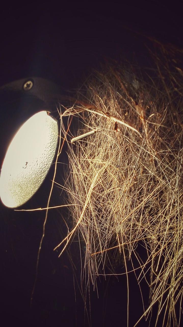 鉴定紫光灯多少瓦