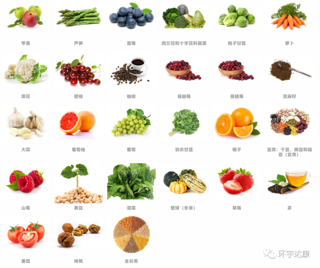 维生素食物来源。图表与产品图标。插画图片素材_ID:392411570-Veer图库