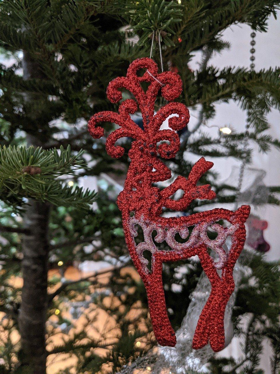 2. 灯笼树特性分析