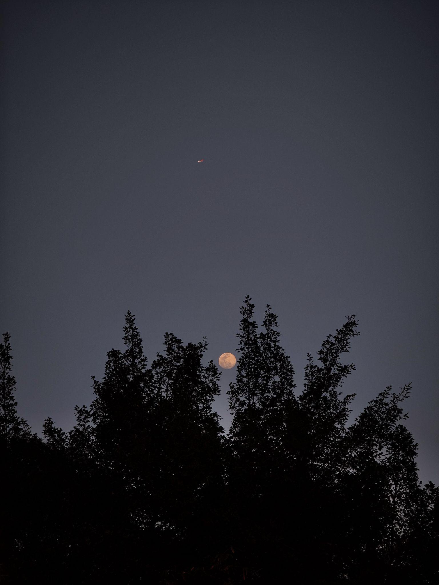 如何看待余承东公布的华为p60pro实拍照片你对该机还有哪些期待