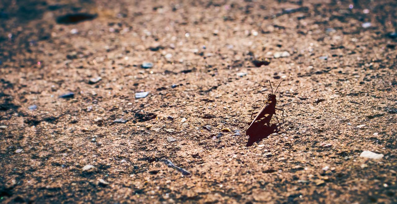 3. 保持室内通风