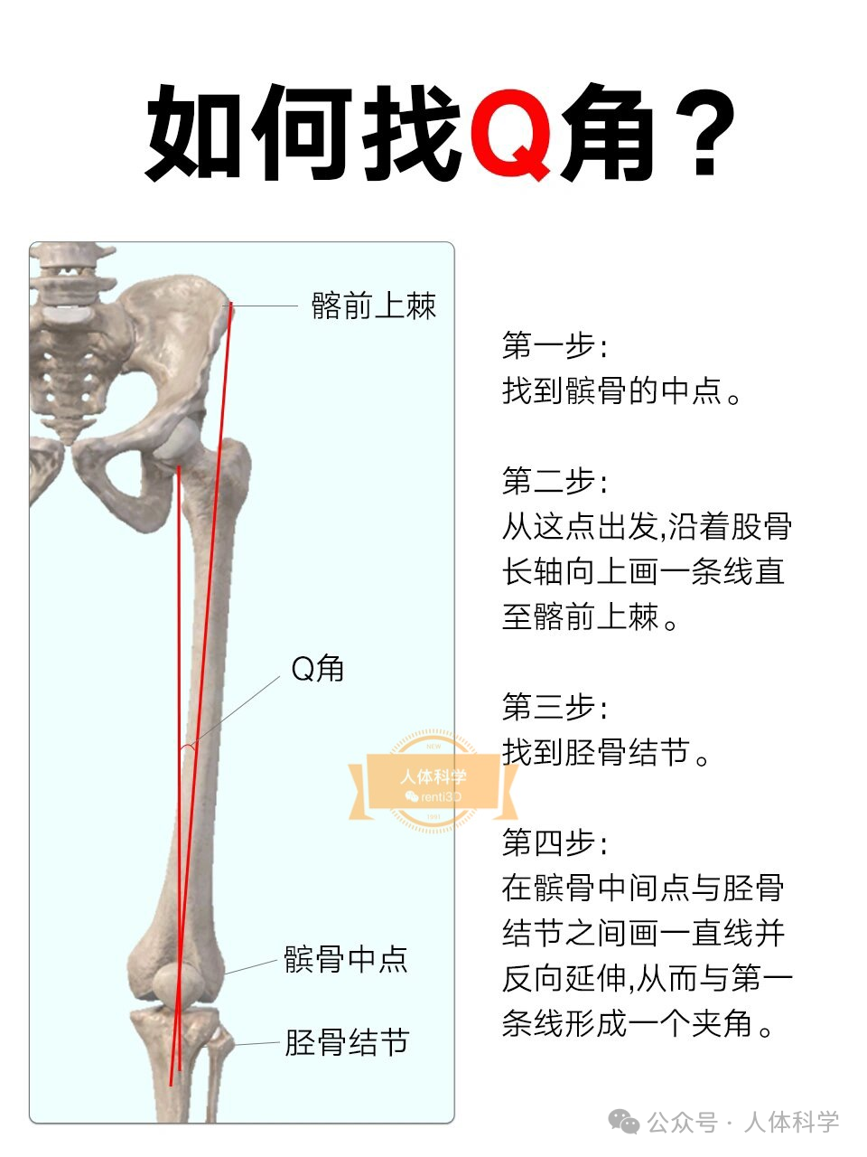 【腿型评估】如何准确检测腿部Q角大小? - 知乎