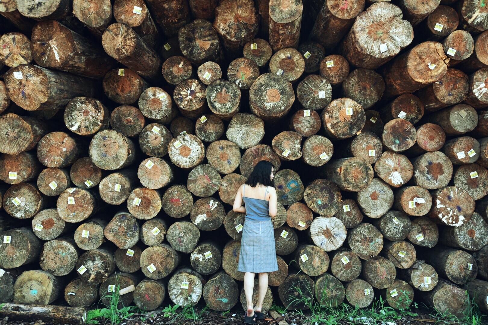 重庆旅游攻略?-重庆游玩攻略三日游详细
