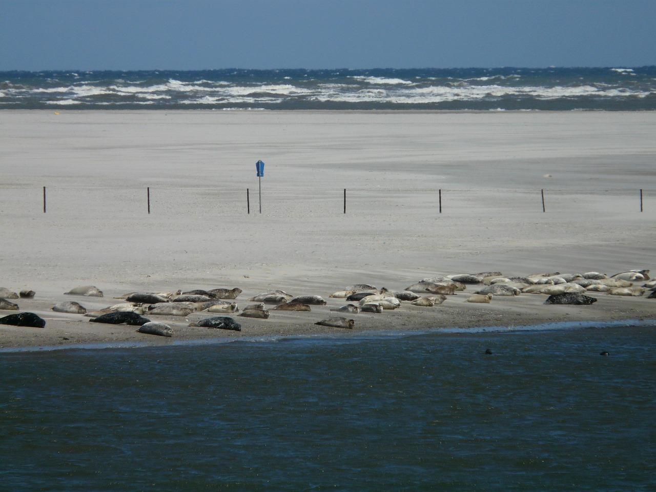 4. 筛板稳固措施