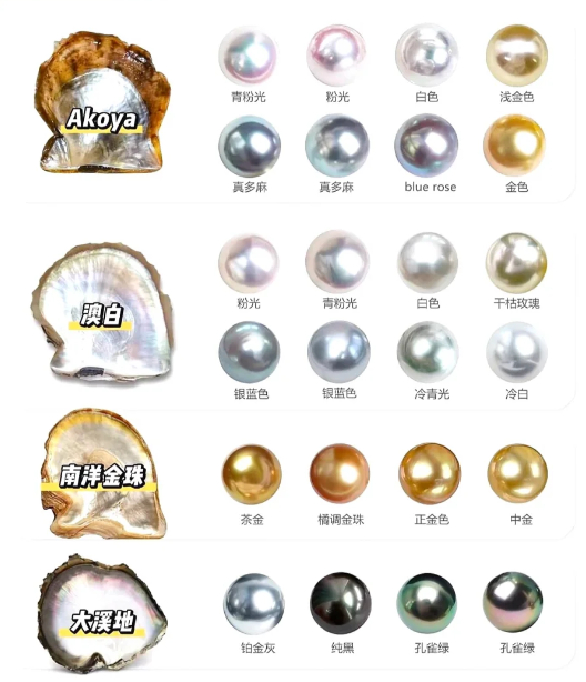 海水珍珠有哪些品种akoya大溪地澳白南洋金珠都有什么区别双11一文给