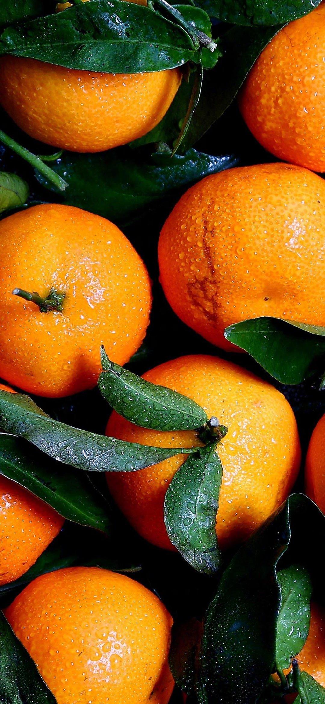 有哪些好看到爆的橙色系壁纸