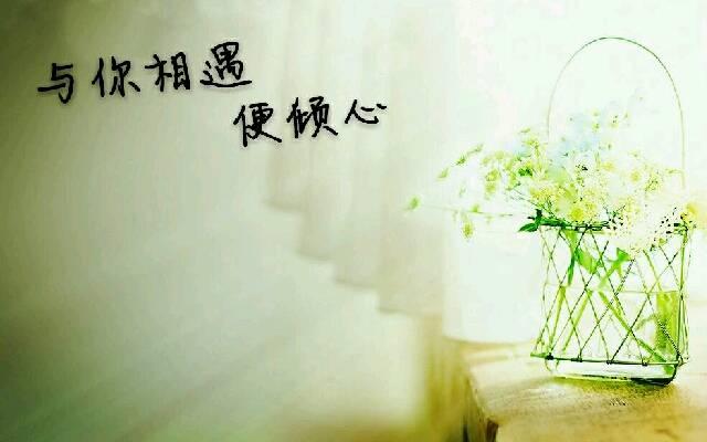 一颗真心一份真情一心一意一生一世