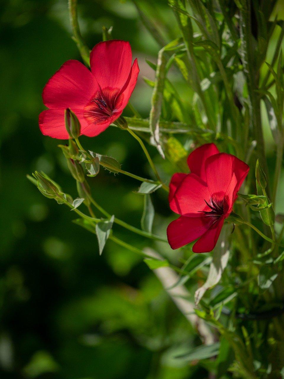 3. 棕棉床垫支撑力