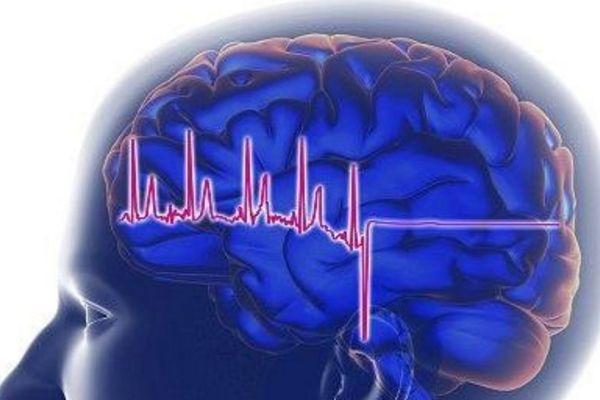 v2-ea0319f2d2d488f1ab73d8dbebecfada_1440w.jpg?source=172ae18b