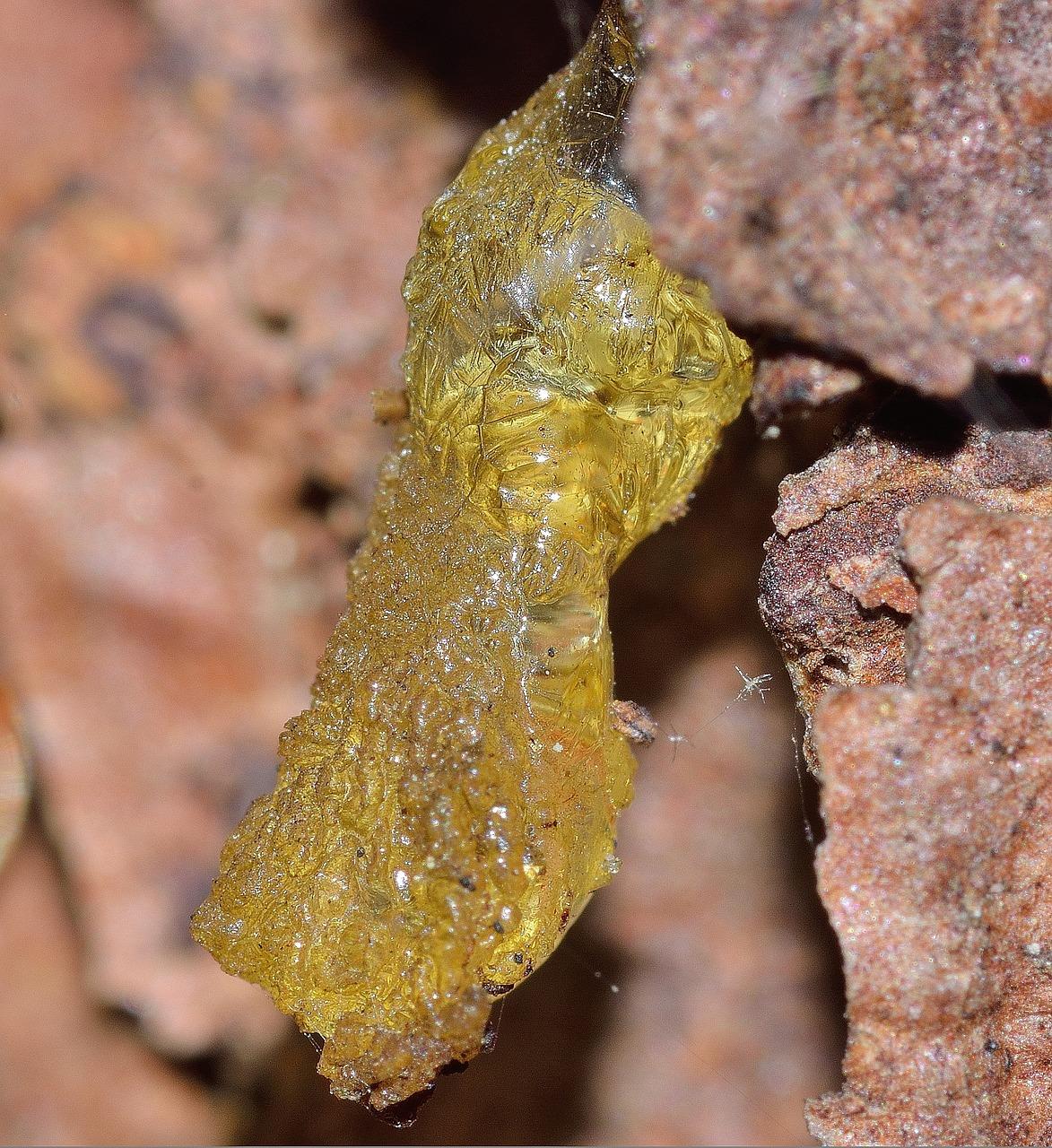 树脂质量如何判断