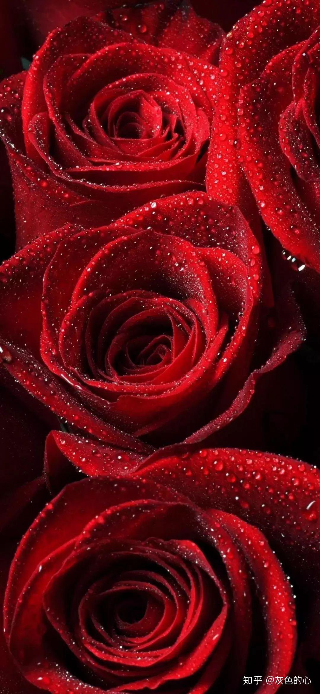 有没有给荣耀20专用好看的手机壁纸