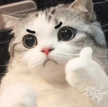 公务员事业编考试区别_公务员与事业编备考对比_事业单位行政处分决定