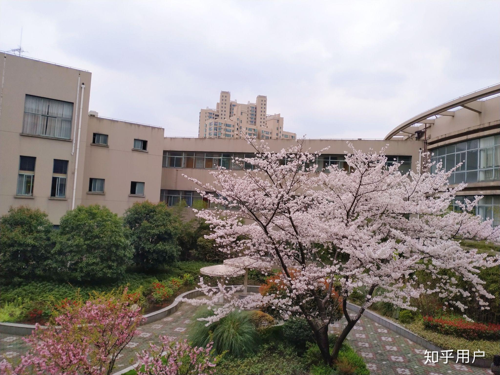 在上海市晋元高级中学就读是怎样一种体验? - 知乎