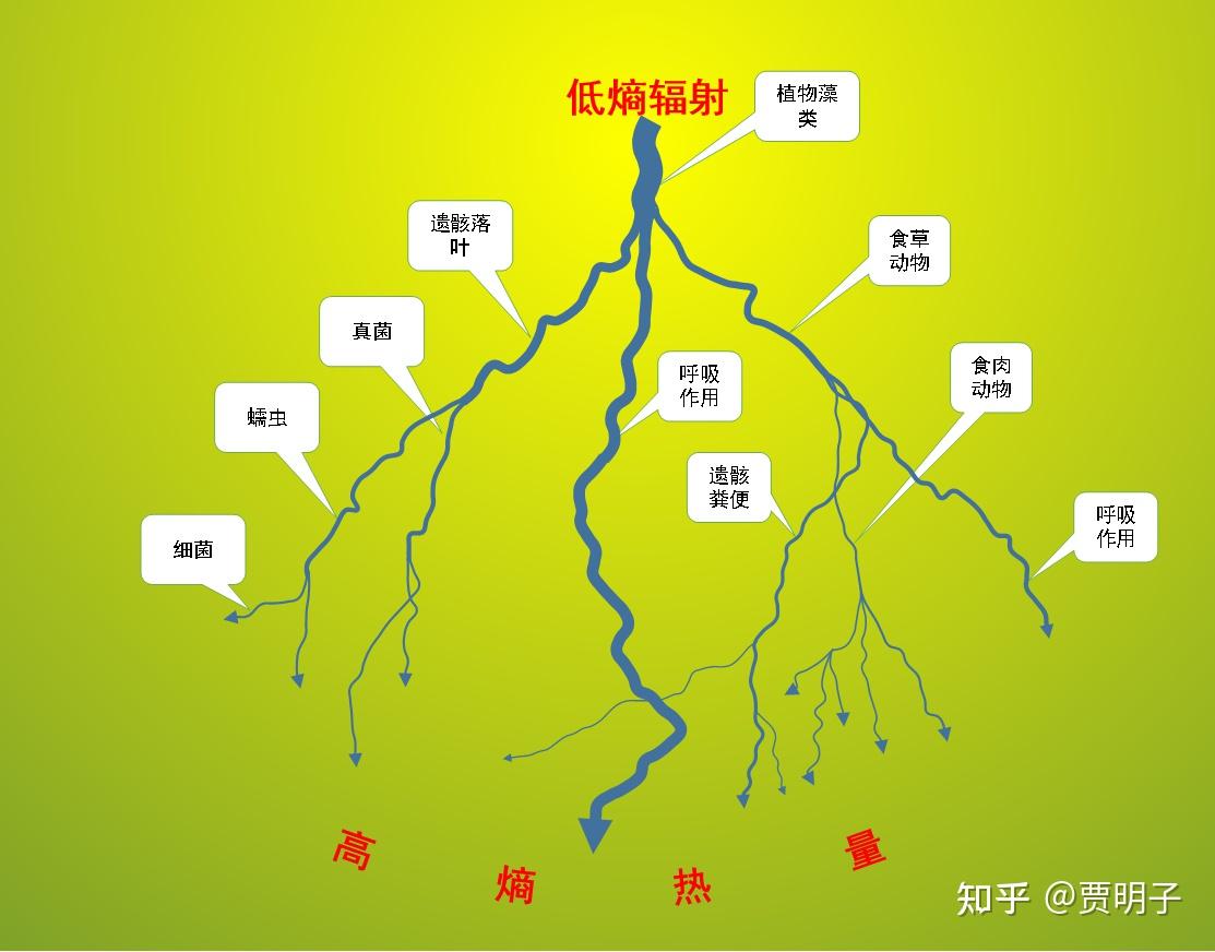 熵增定律是否违背进化论