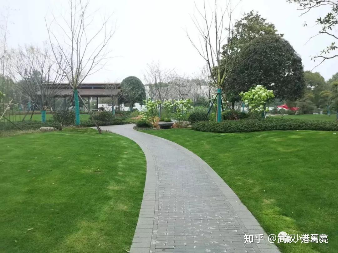 全城剧透!定制奢级私家园林+两个下沉式会所!看完直呼惊艳!中铁阅湖郡东西湖怎么样? - 知乎