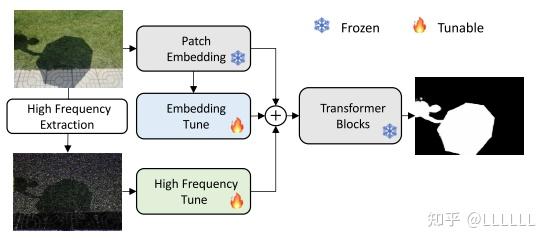 SAMed:Customized Segment Anything Model for Medical Image Segmentation - 知乎