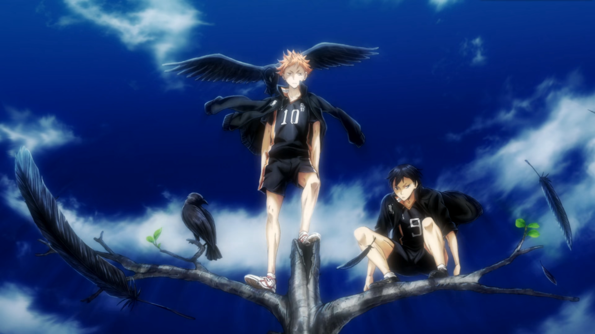 有没有啥排球少年的特别好看的高清图想当壁纸