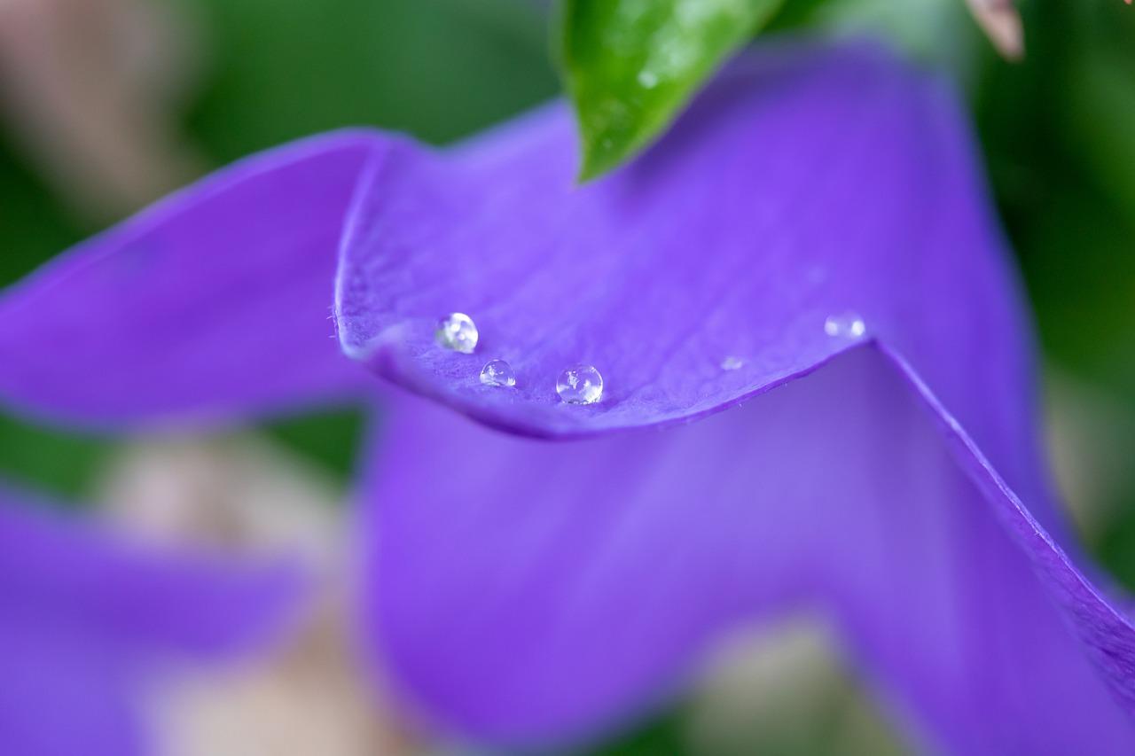 3. 墙面气球粘贴