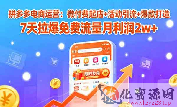 拼多多电商运营_wwz