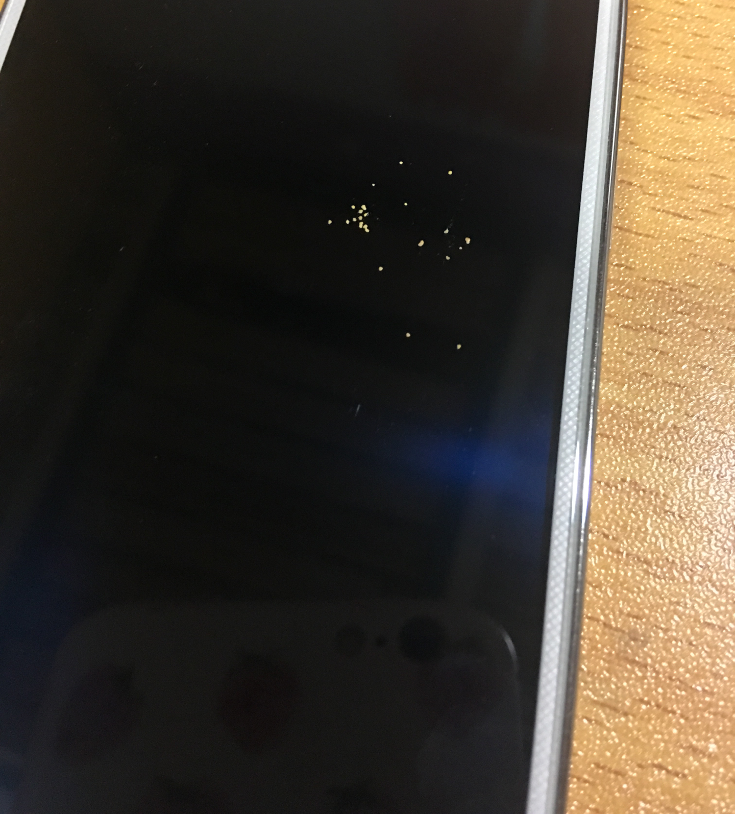 求问虫子专家,家中物品上密布着的黄色的小颗粒到底是什么虫的卵或者