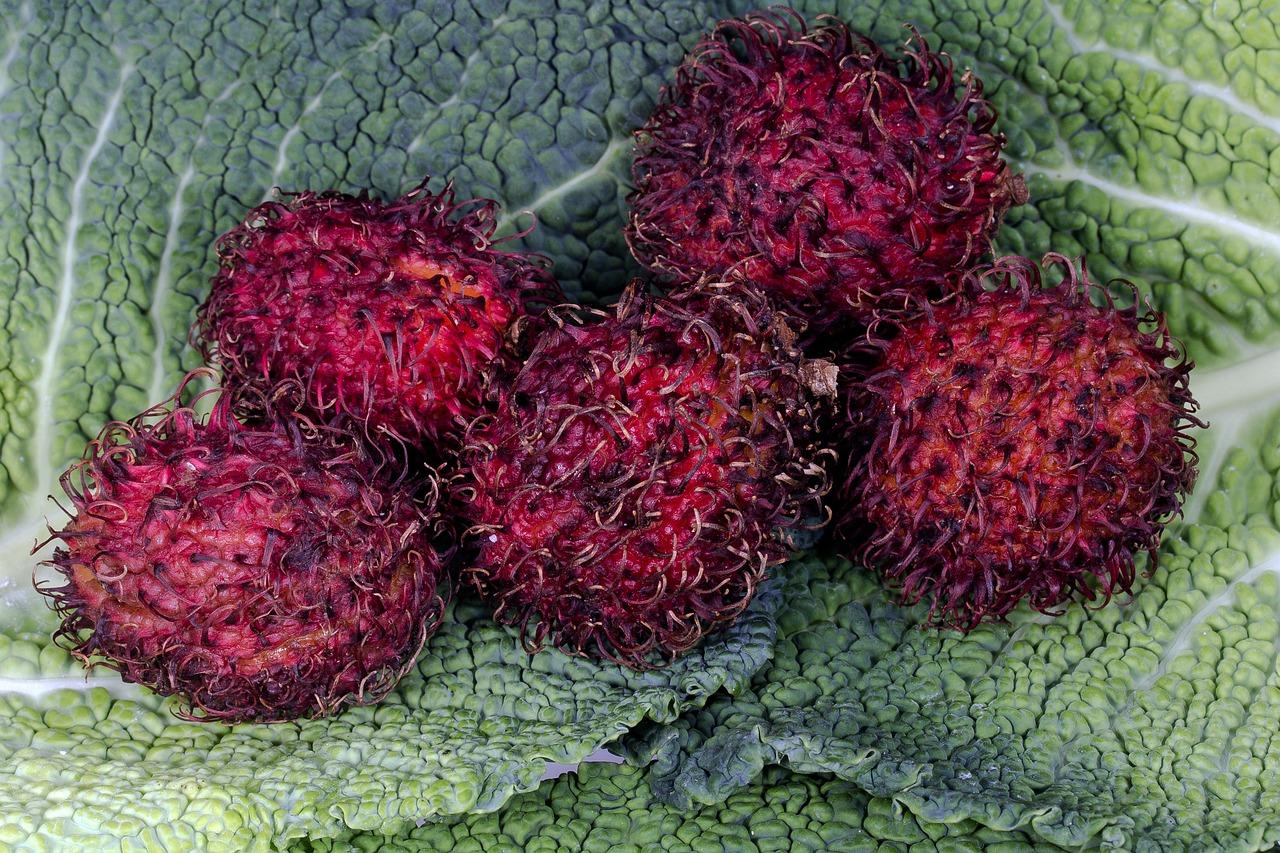 怎么催熟人参果