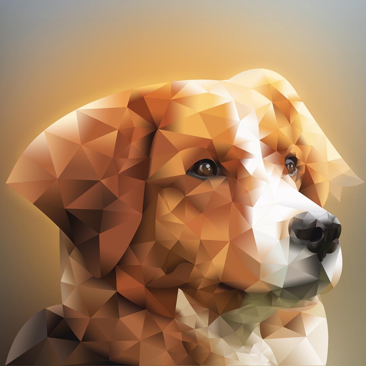 4. 配套设施解析