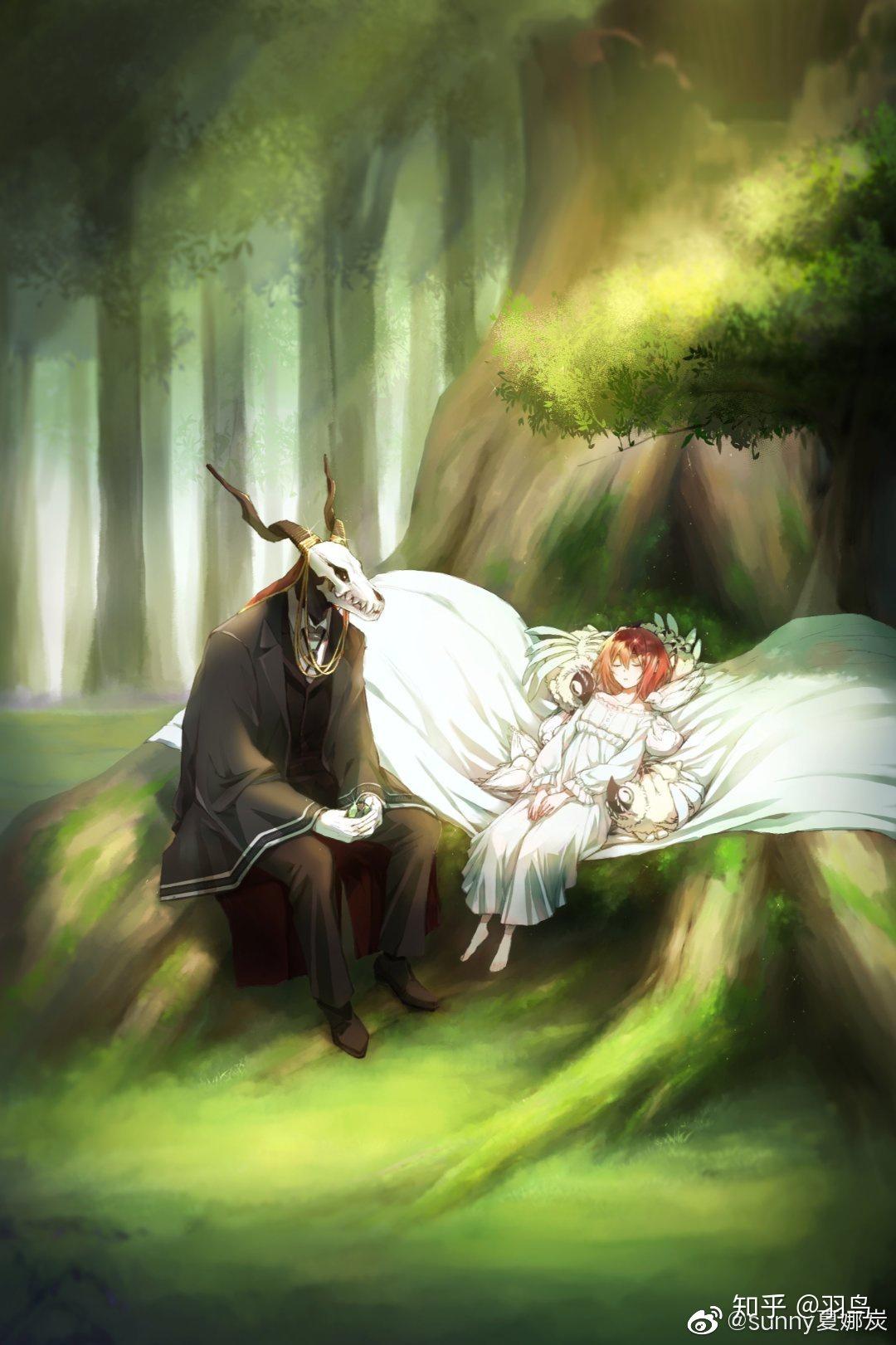 你最喜欢动画魔法使的新娘中哪张截图