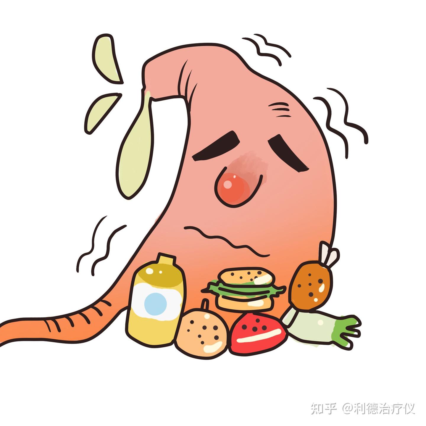 吃过多,会不会把胃会撑大?节食会让胃越来越小? - 知乎