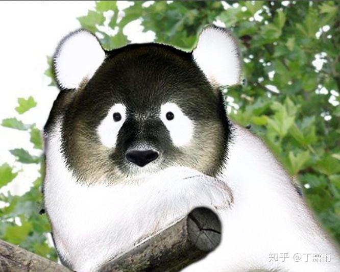 大熊猫的颜色反转过来是什么样子