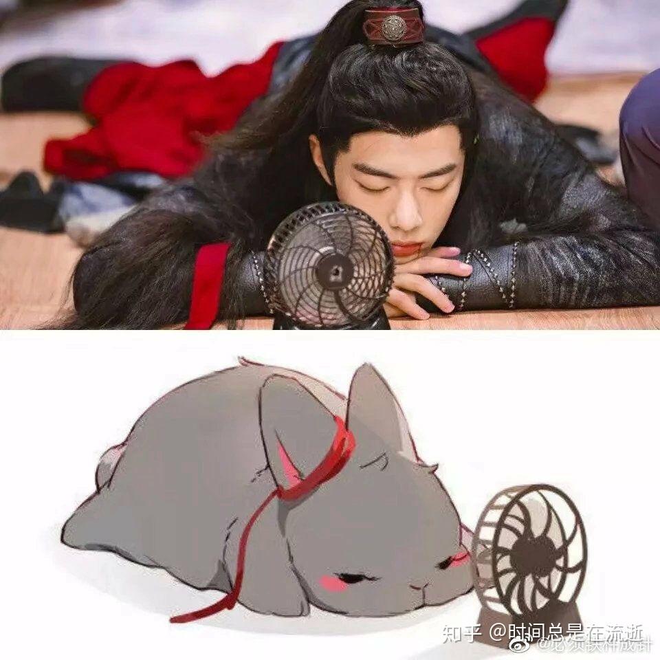 肖战是兔子精转世么? - 知乎