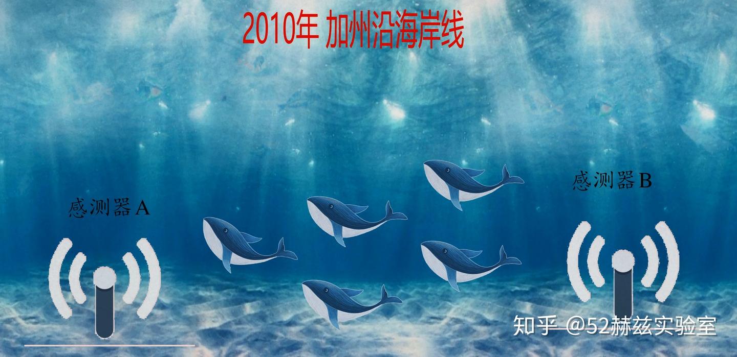 你知道世界上最孤独的生物是什么？ - 知乎