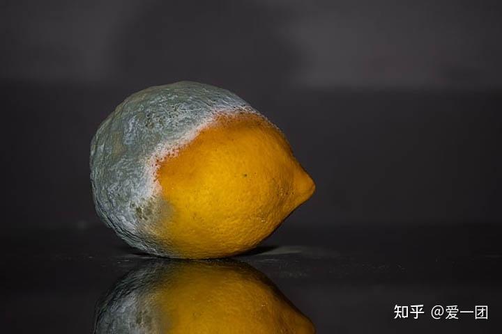 水果烂了把烂的部分切掉能吃吗? - 知乎