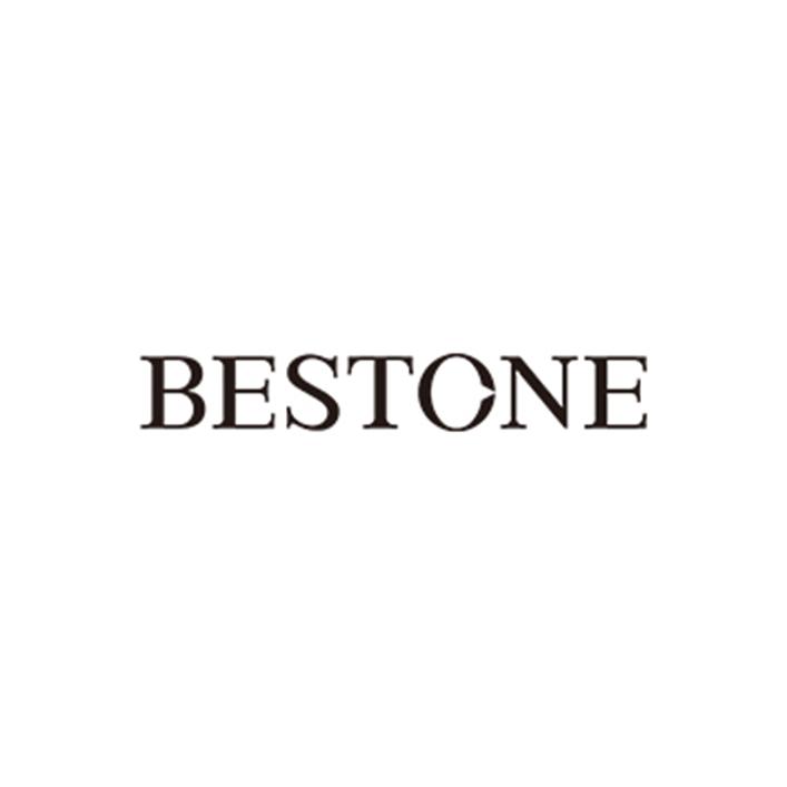 你不知道的BESTONE - 知乎