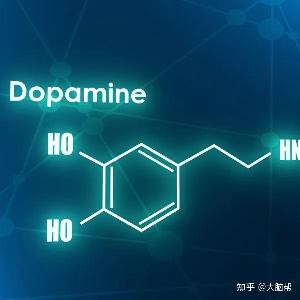 多巴胺：被误解的快乐密码，如何让它成为人生的助推器？ - 知乎