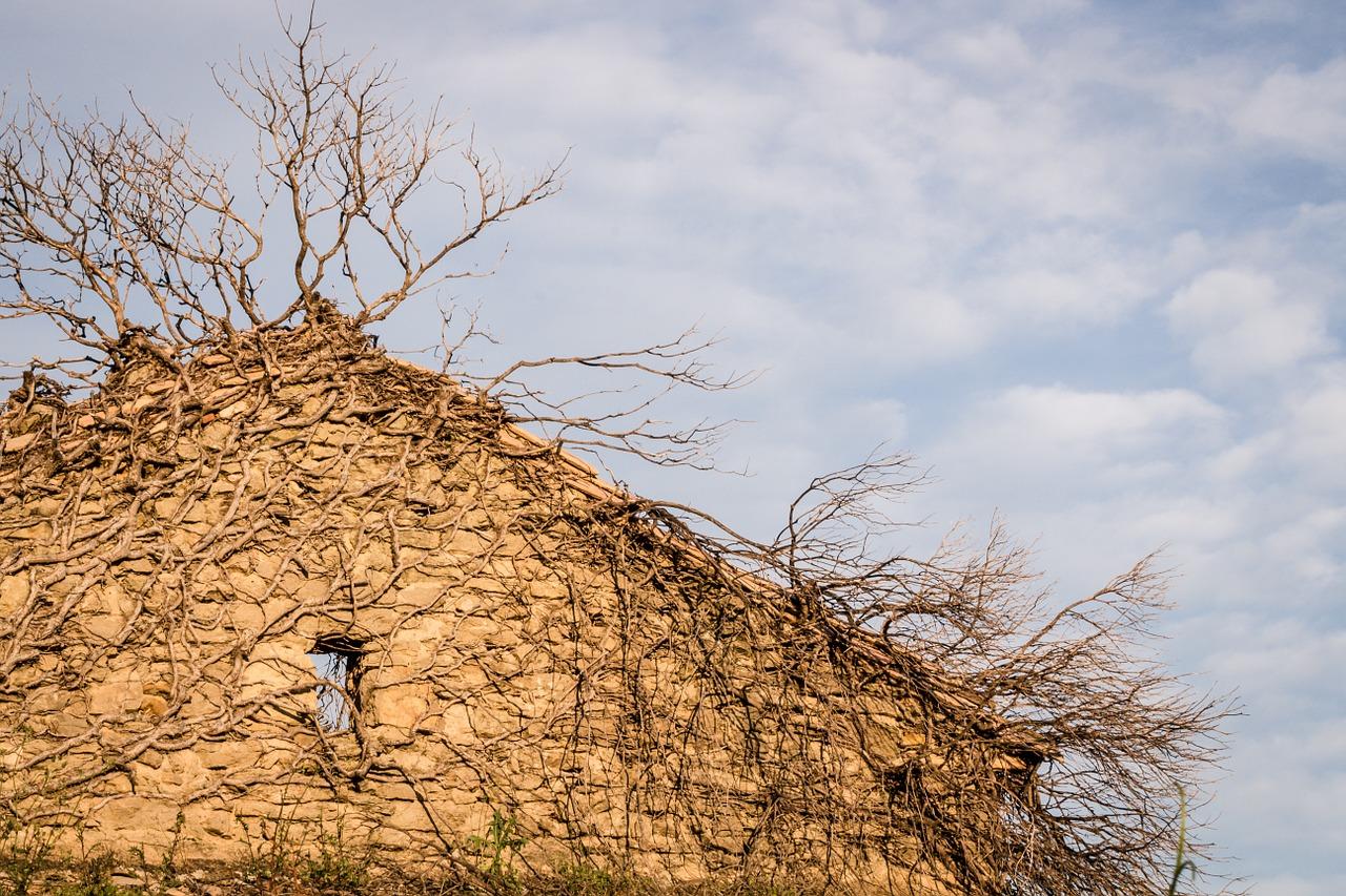 房子能盖多少层