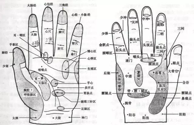 6條經脈99個穴位的聚集地按一按揉一揉百病消