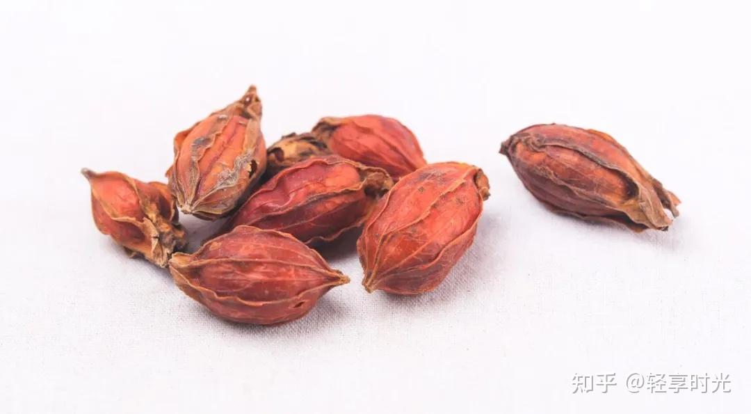 栀子的食疗功效与作用 - 知乎