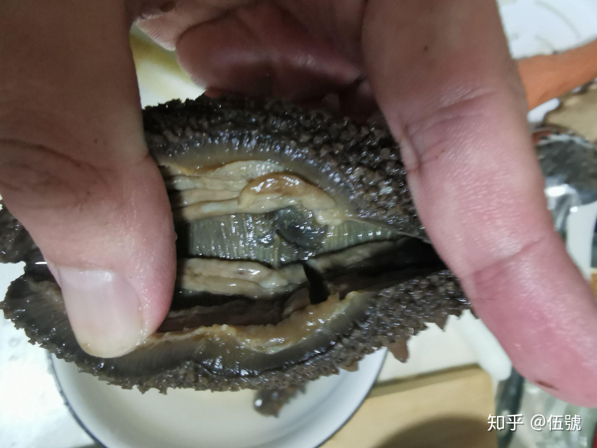 这样的海参是不是问题海参或病死海参?能吃吗? - 知乎