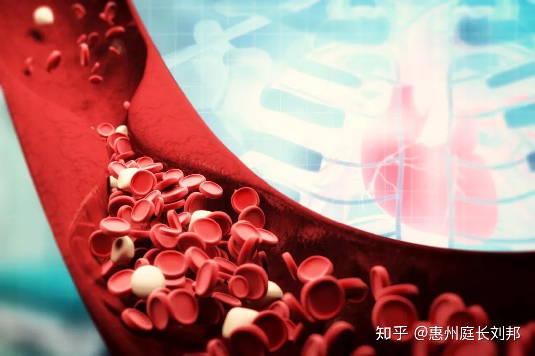 气血失调这样补，养肝肾，健脾胃，调和气血~ - 知乎