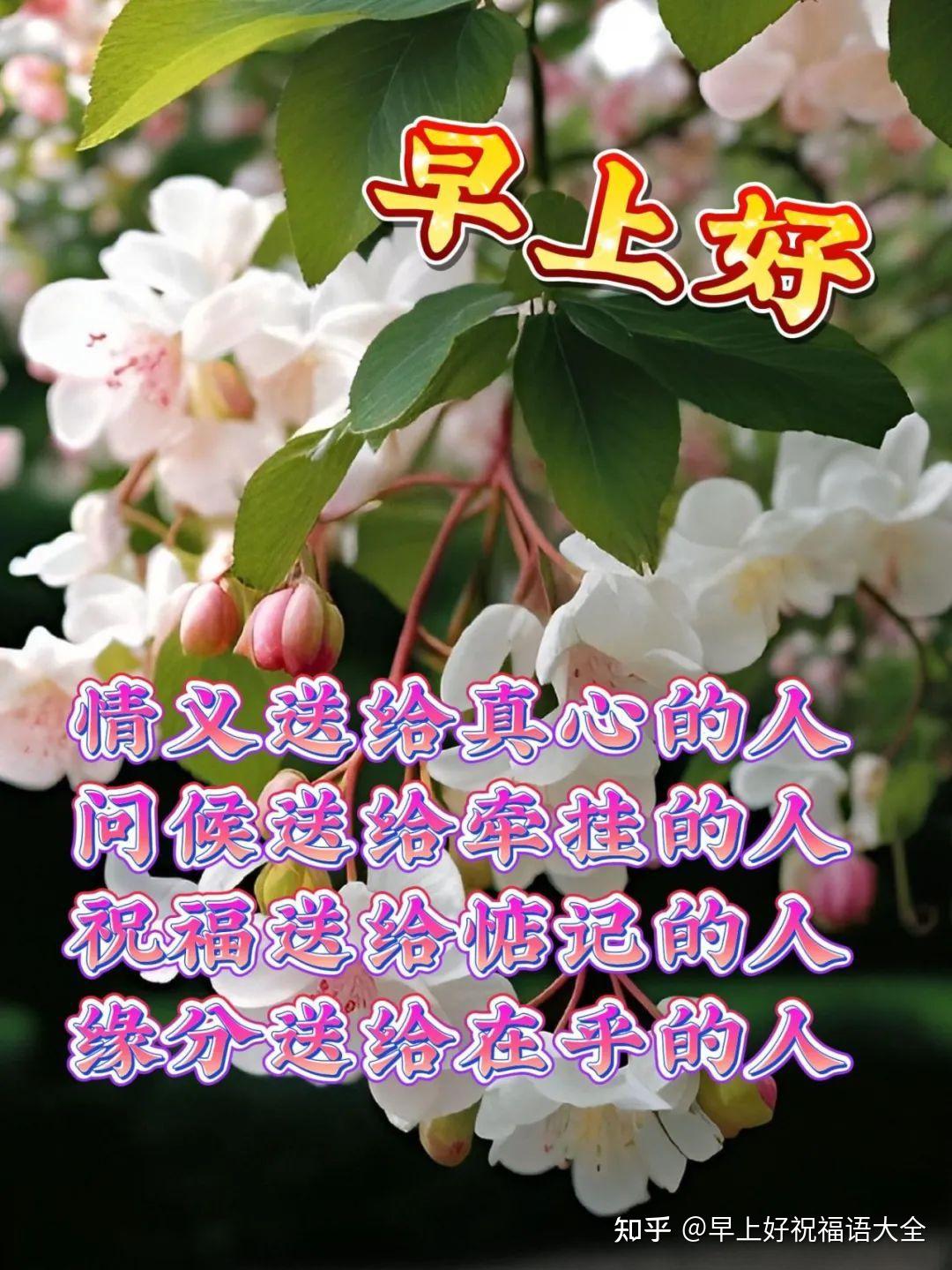 4月3日周一早上好，温馨唯美祝福语图片- 知乎