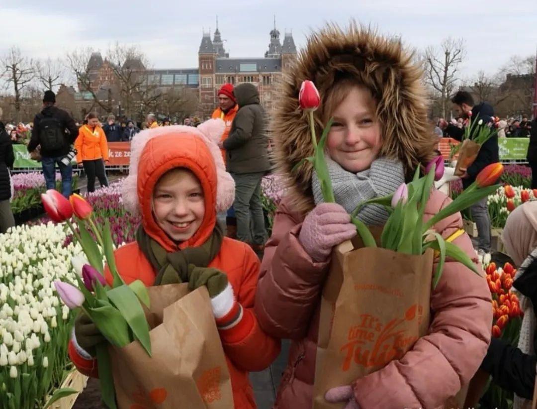 看见郁金香盛开，真正的春天才来到- 知乎