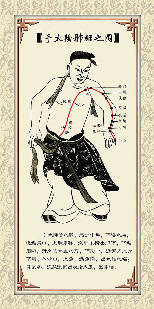 手太阴肺经 - 知乎