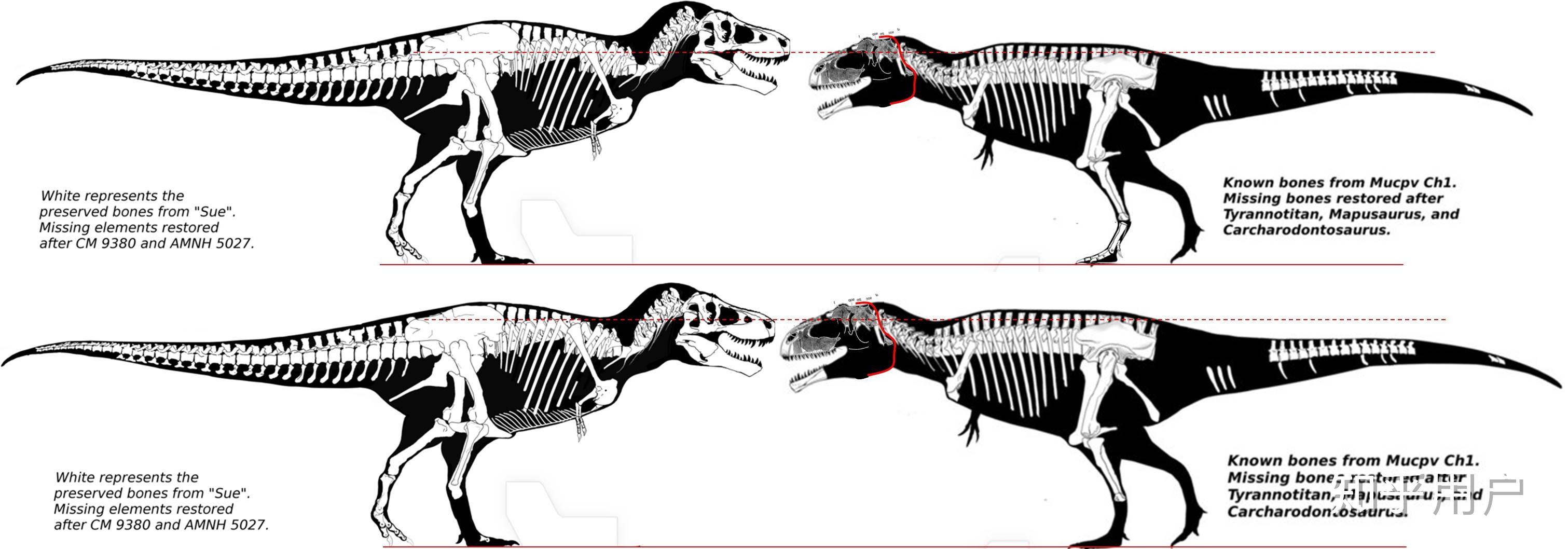 南方巨兽龙和霸王龙如果打一架谁会赢