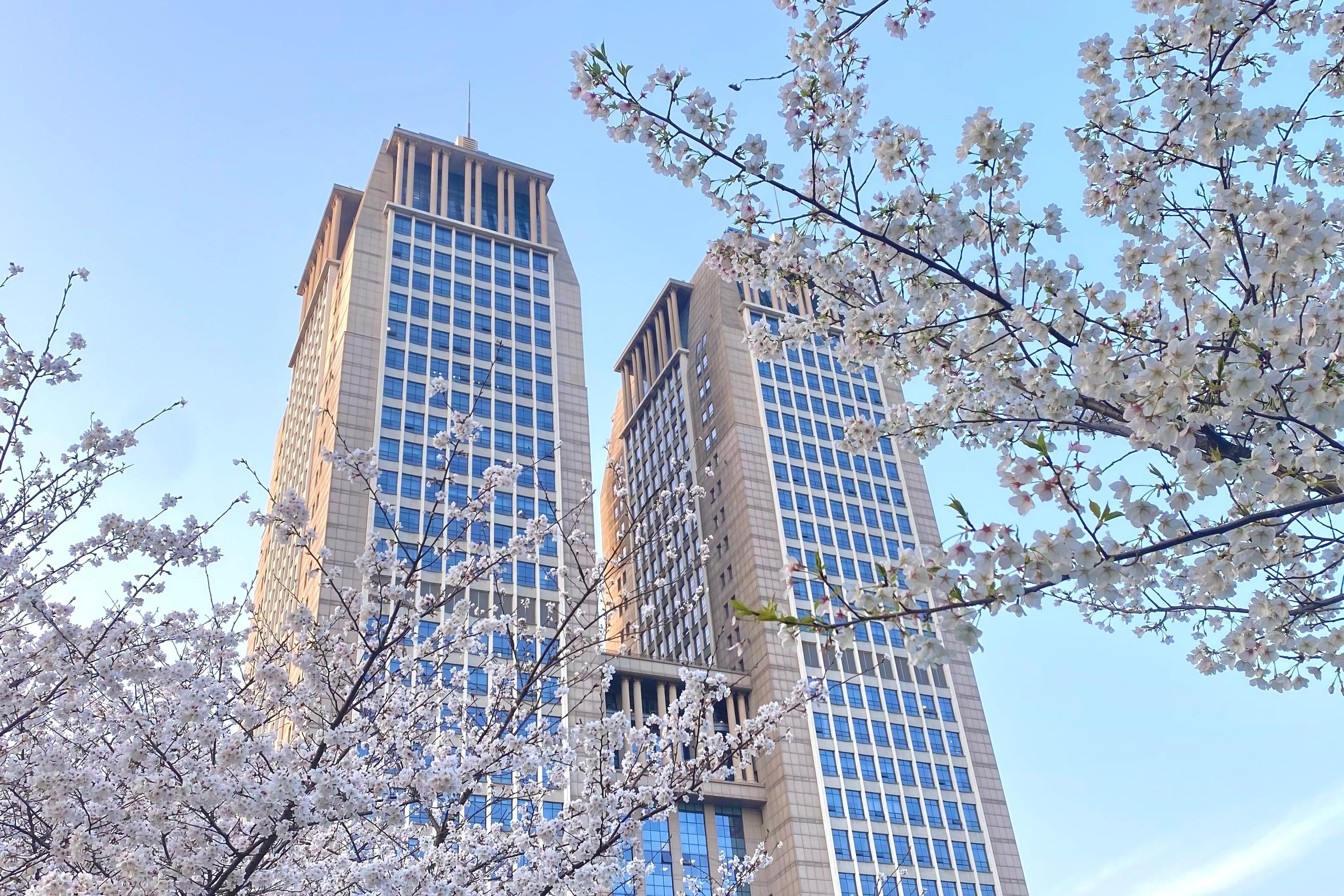 复旦大学有好看的壁纸嘛? - 知乎