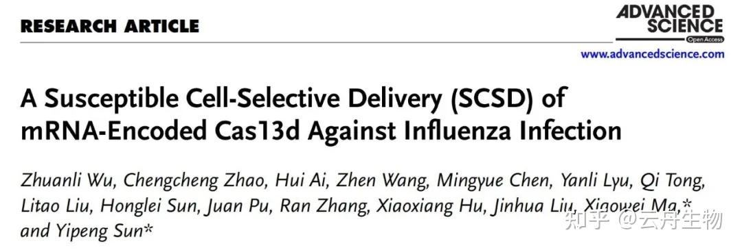 Adv Sci | 效果远超奥司他韦！中国农大开发SCSD增强CRISPR/Cas13d抗流感病毒疗效 - 知乎